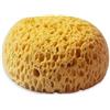Spugna morbida da pittura Stamperia