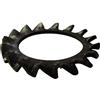 TOOLCRAFT Rosette elastiche dentate a ventaglio Diametro interno: 2.2 mm M2 DIN 6798 Acciaio armonico 100 pz. TOOLCRAFT A2 2 D6