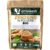 Amoseeds Zenzero in polvere Bio 200G | Digestione, Articolazioni, Nausea | Disidratato senza zucchero | Qualità Superiore