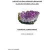 YOUCANPRINT Scienze naturali chimiche e biologiche. Classe di concorso A-50 (ex A060). Esperienze laboratoriali
