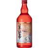 Shin Group Tokiiro Nigata Japanese Craft Gin