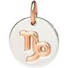 DODO Ciondolo segno zodiacale capricorno in oro rosa e argento