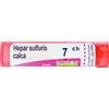 Hepar sulfur boi*7ch 80gr - BOIRON - 048287433
