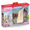 SCHLEICH 2542586 STARTER SET LEO E ROCHY