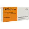 MOLTENI & C. F.LLI ALITTI SpA LUAN*GEL 15G 2,5%+APPLICATORE