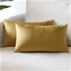 Sungeek Confezione da 2 Federe in Velluto, Fodere per Cuscini Decorativi Morbidi Copricuscini Divano di Lusso per Divano Letto Soggiorno Camera da Letto (30x50cm, Oro)