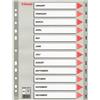 ESSELTE Separatore in PPL grigio mensile GEN-DIC f.to A4 ESSELTE