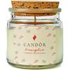 CANDÒR Mini candele profumate in Cera di Soia Artigianale Made in Italy - Piccola Candela Bianca di San Valentino in Vasetto di Vetro con Confezione Regalo - Vaniglia