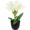 Flair Flower Amaryllis artificiale in vaso, 28 cm, fiore di seta, decorazione natalizia, fiori d'inverno, floristica, composizione in vaso, piante, Natale, fiori artificiali, bianco