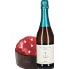 CallMeWine Panettone 'Valentino' Massari e Riesling Spumante 'Zero' Dr. Fischer 0,75 l