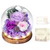 MAMAMIKO Rosa Stabilizzata Vera con Luci LED, Rosa Eterna La Bella e la Bestia, Regalo per Lei, Donna, Fidanzata, Mamma, Idee Regalo per San Valentino, Compleanno, Anniversario, Festa della Mamma (Viola)
