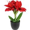 Flair Flower Amaryllis artificiale in vaso, 28 cm, fiore di seta, decorazione natalizia, fiori d'inverno, floristica, composizione in vaso, piante artificiali, fiori artificiali