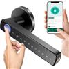Nastopee Serratura intelligente per porta, impronta digitale, serratura elettronica, telecomando con app per porta, con impronte digitali, Smart Lock, WLAN, Tuya, biometrica, impronte digitali, carta RFID