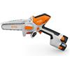 Stihl Potatore STIHL GTA30SET con 2 batterie AS2 e caricatore AL5-2