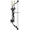 EK ARCHERY RESEARCH ARCO COMPOUND NERO 20LBS FULL OPTIONAL