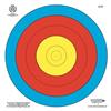 BIG ARCHERY FOGLIO BERSAGLIO FITA UFFICIALE 40X40 PER TIRO CON ARCO/BALESTRA