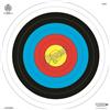 BIG ARCHERY FOGLIO BERSAGLIO FITA UFFICIALE 80X80 PER TIRO CON ARCO/BALESTRA