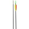 BIG FUN LINE FRECCIA PER ARCO IN CARBONIO MEDIUM 750-5,5