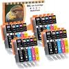 D&C 20x Cartucce compatibili per Canon PGI-580 XXL CLI-581 XXL Sostituzione per Canon Pixma TR7550 TR8550 TS6150 TS6151 TS6250 TS6251 TS8150 TS8151 TS8152 TS8250 TS8251 TS8300 TS9150 TS9155 TS9550