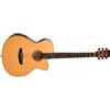 Tanglewood Chitarra Acustica Elettrificata Natural Gloss ROADSTER X TRX4CE