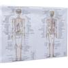 1pc Essere umano Anatomia Poster Struttura del corpo Pittura Scheletrico