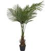 HOME DECO FACTORY, HD0452, Pianta di Palma Artificiale 120 cm - Decorazione d'interni, Facile Manutenzione, Design Realistico, Ideale per Soggiorno o Ufficio - Verde