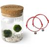 KAKI La Felicità è Nelle Piccole Cose Marimo Original Felicità coppia (fondale bianco) + Braccialetti Filo Rosso del Destino (coppia argento), Idee regalo San Valentino