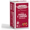Sandemetrio Infuso Fragola E Lampone 18 Filtri