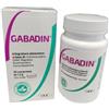 DOC Generici Gabadin Integratore Alimentare Sistema Nervoso 30 Compresse