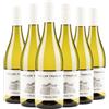 Cantina San Michele Appiano Alto Adige DOC Müller Thurgau 2025 Box da 6 bottiglie
