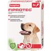BEAPHAR B.V. Fiprotec Spot-On Cani 20-40kg, Trattamento Pulci e Zecche