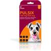 INDUSTRIA ITALIANA INTEGR.TREI Pulsix 4 1ml per Cani 4-10kg