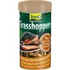 SPECTRUM BRANDS ITALIA Srl Reptodelica Grasshoppers Integratore Alimentare per Rettili 250ml