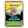 GIMBORN ITALIA Srl Div. Veter. Gimcat Erba Gatto Extra Soft 100g