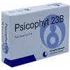 BIOGROUP SPA SOCIETA BENEFIT Psicophyt Remedy 23b 4 Tubi 1,2 G