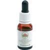 BUSH BIOTHERAPIES PTY LTD Angelsword Gocce 15 Ml