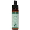 NATUR SRL Cardinal Flower 10ml
