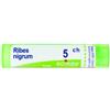 BOIRON SRL Ribes Nigrum 5ch Granuli 4g