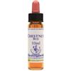 NATUR SRL Bach Center Essence Holly 20 Ml