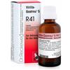DR.RECKEWEG & CO. GMBH Reckeweg R41 Gocce 22 Ml