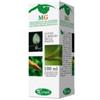 SANGALLI SRL Ippocastano Macerato Glicerico 100 Ml