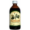 ARCANGEA SRL Piantaggine Sciroppo 200 Ml
