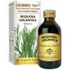 DR.GIORGINI SER-VIS SRL Gemmo 10+ Sequoia 100 Ml Liquido Analcolico