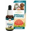 BUSH BIOTHERAPIES PTY LTD Diffidence & Timidity 30 Ml