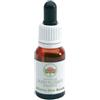 BUSH BIOTHERAPIES PTY LTD Alpine Mint Australian Gocce 15 Ml