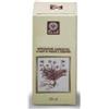 ECOL SAS Ginkgo Biloba Estratto Analcolico 50 Ml