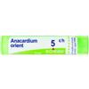 BOIRON SRL Anacardium Orientalis 5 Ch Granuli 4g