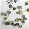 HHMTAKA Ghirlanda luminosa con 20 luci LED a batteria, 2 m, luce bianca calda, per casa, cucina, giardino, ufficio, matrimonio, decorazione da parete (foglia di eucalipto)