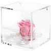 DC DEBORA CARLUCCI Debora Carlucci Rosa Stabilizzata Vera Eterna con 4 Petali in Cubo 8x8 cm Idea Regalo Festa della Mamma Donna Bomboniera Compleanno Anniversario Matrimonio Blu Bianco Rosa Rossa (Rosa)