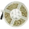 tempo di saldi Striscia A Led Luce Blu Smd 5050-1M Bobina Strip Adesiva Da 5 Metri 300 Led